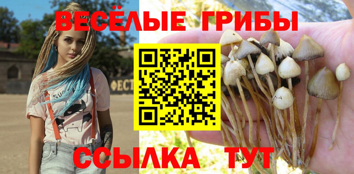 Мытищи  Галлюциногенные грибы ЛСД  Вход с VPN 